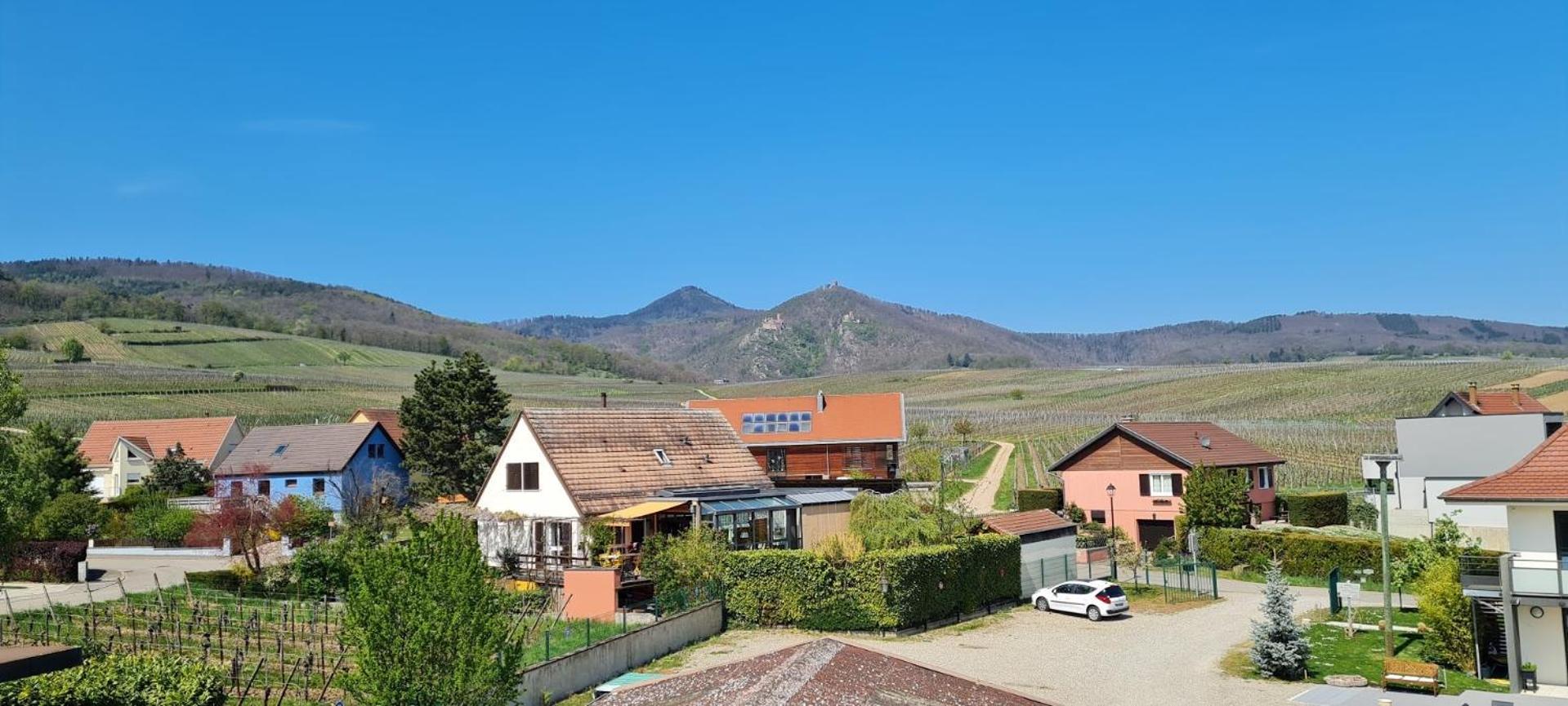 Maison D'Hotes Sainte Hune Appartements Hunawihr Rom bilde